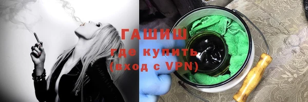 дмт Богданович