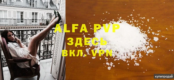 дмт Богданович