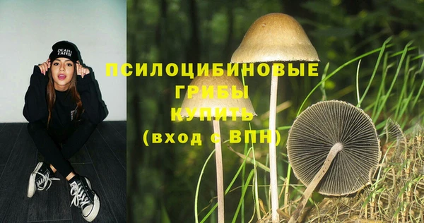винт Баксан