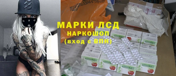 дмт Богданович