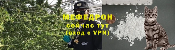 дмт Богданович