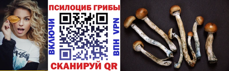 Псилоцибиновые грибы Psilocybine cubensis  Чапаевск 